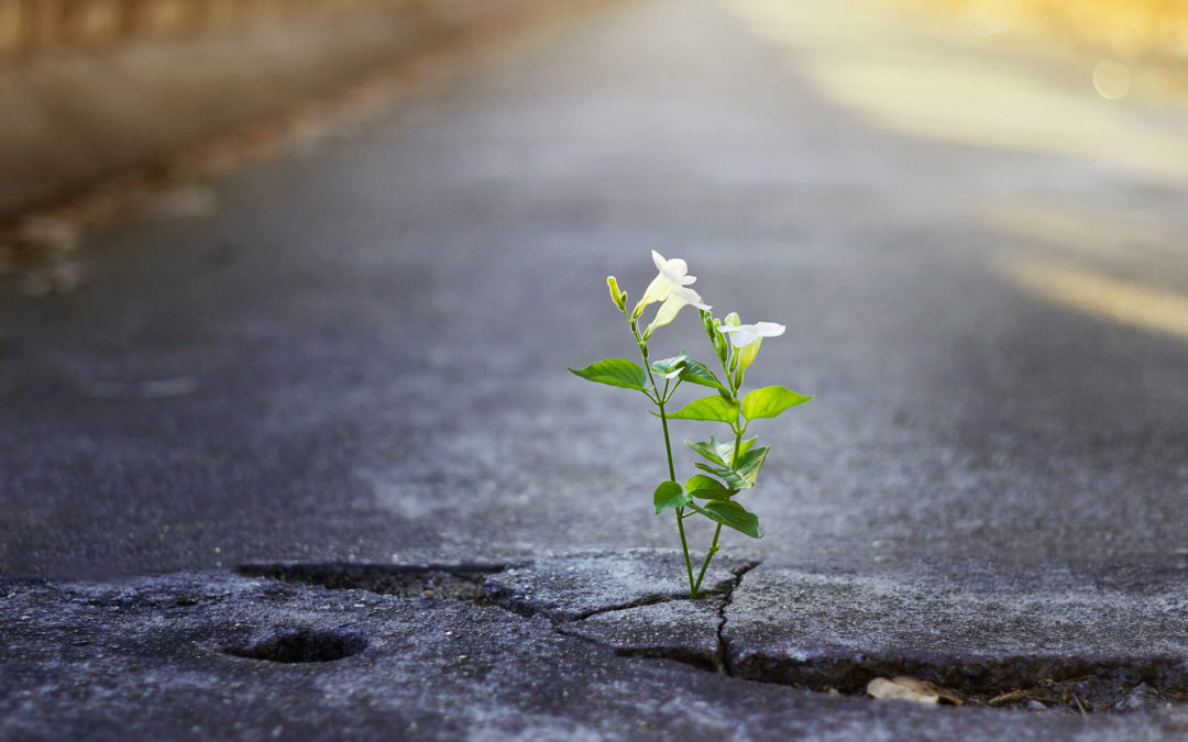 The Relational Dance of Becoming All of You